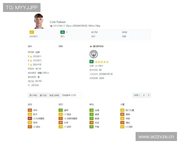 帕尔默与德布劳内：组织创造力与体系适配差异解析